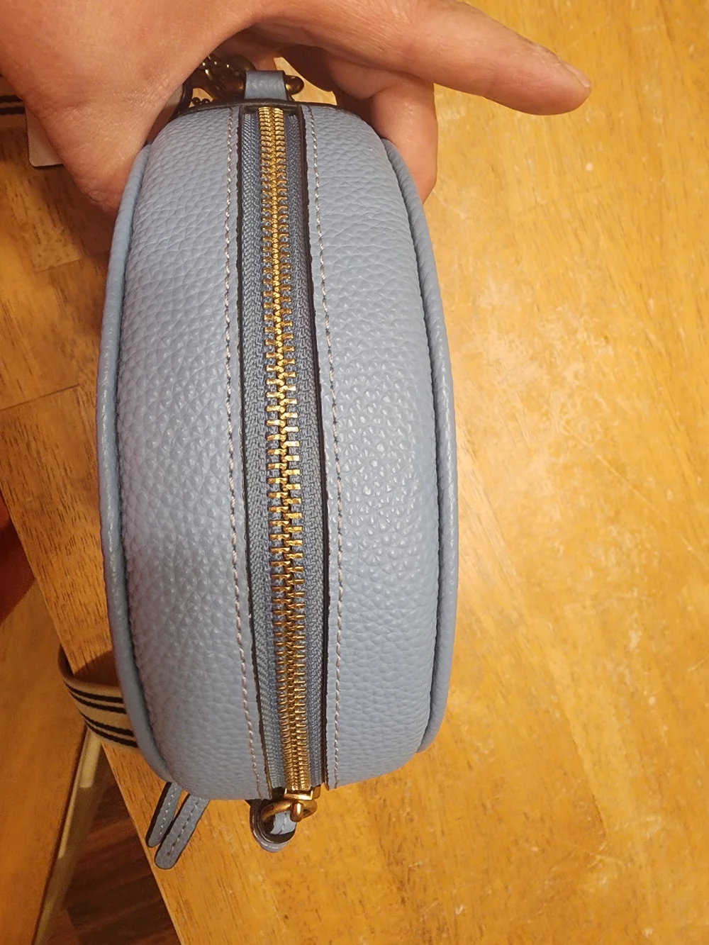 Coach Light Blue Round Crossbody Bag - Signature Leather